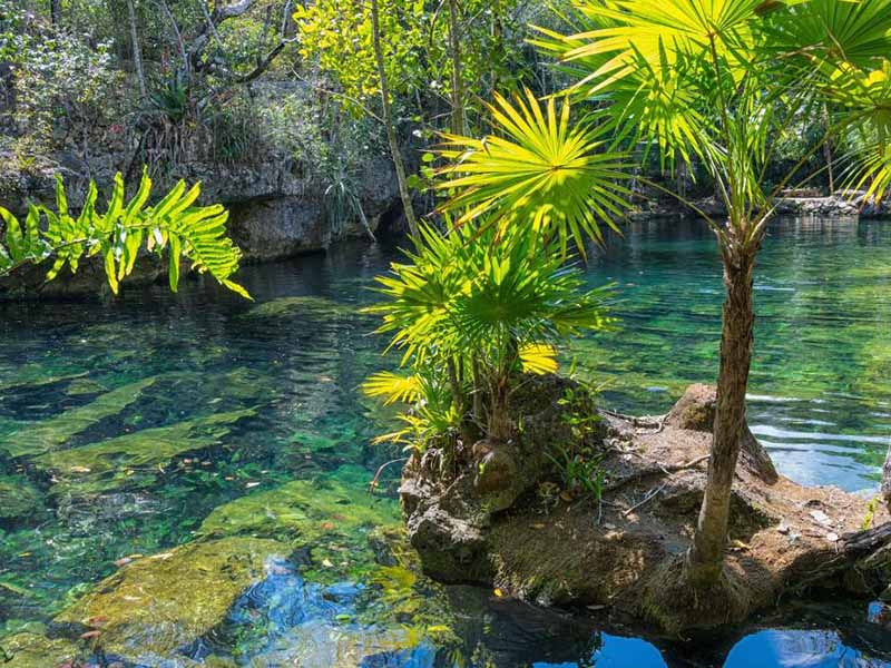 陜西銅川水質(zhì)葉綠素a檢測(cè)儀