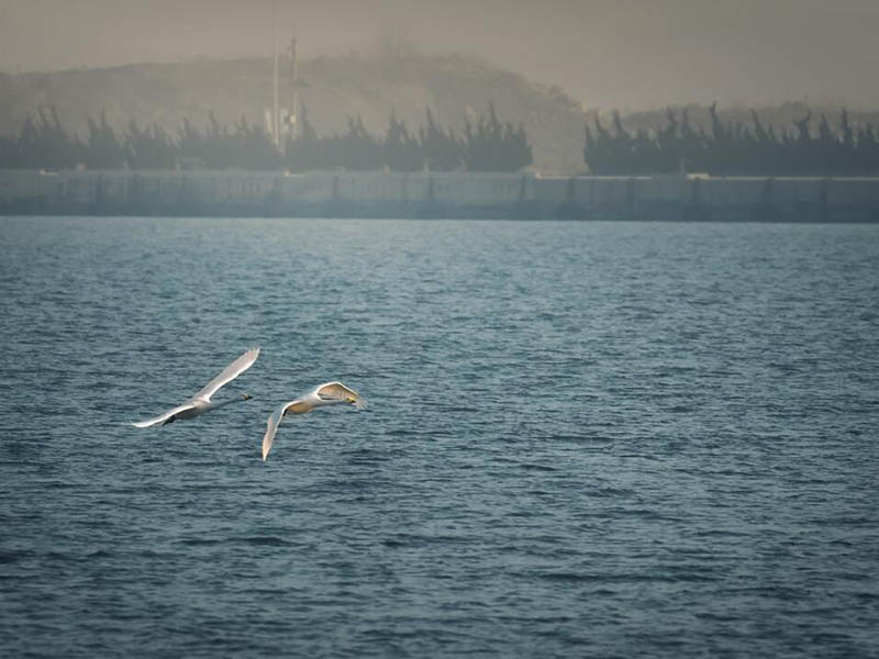 漢中水質(zhì)COD檢測(cè)儀