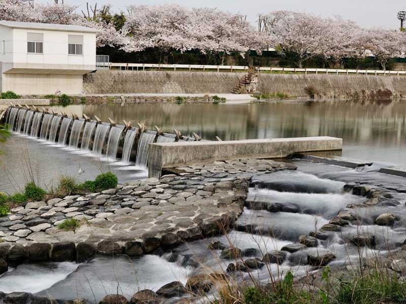 大興安嶺水質(zhì)總氯分析儀