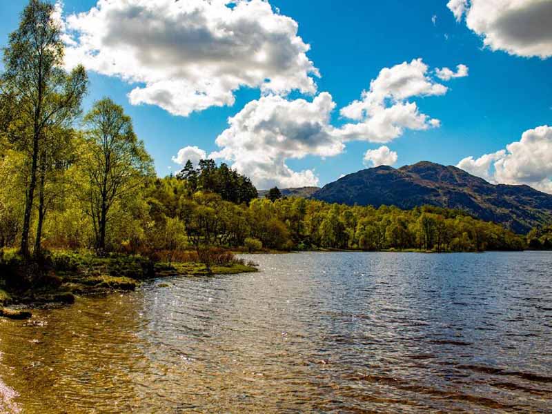 高溫消解到鉬色鎖讀臺式水質(zhì)分析儀的零換算操作筆記 濟寧臺式水質(zhì)分析儀.jpg