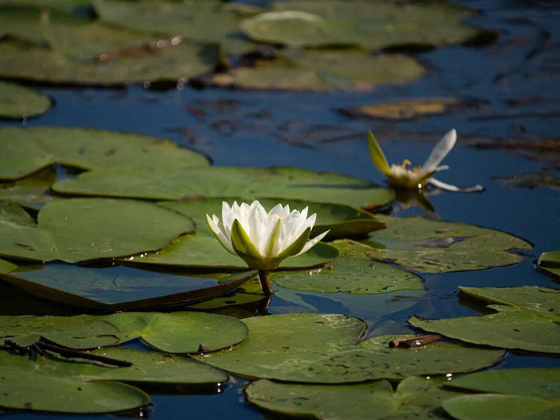 1764380340751205.jpg 1680241738971560.jpg