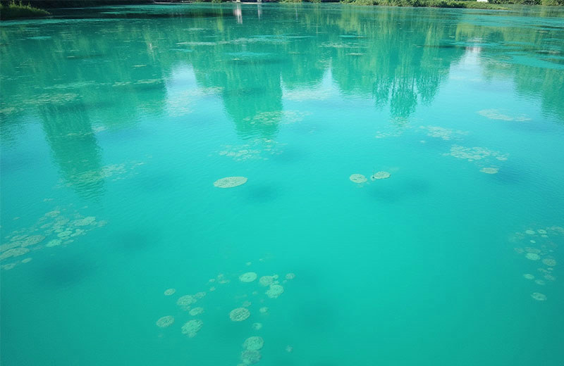 燃煤鍋爐水質(zhì)檢測