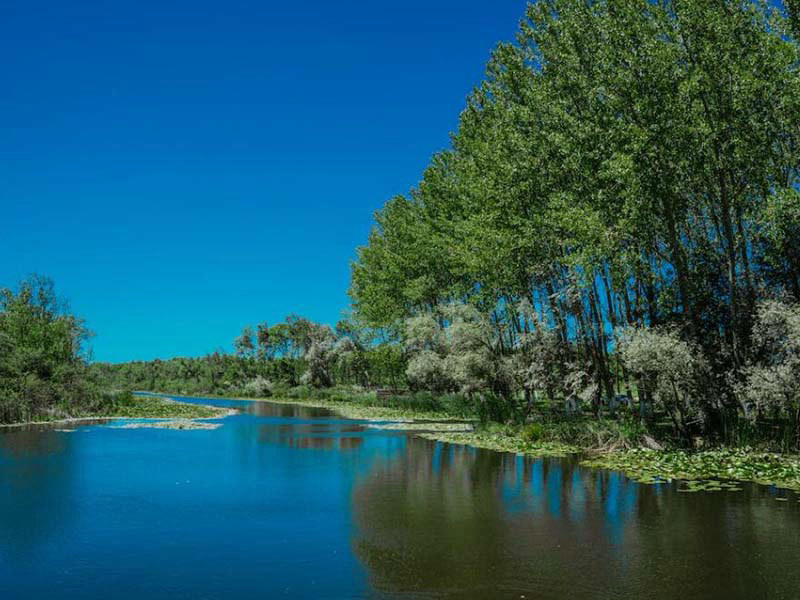 便攜式水質(zhì) COD 氨氮檢測儀.jpg