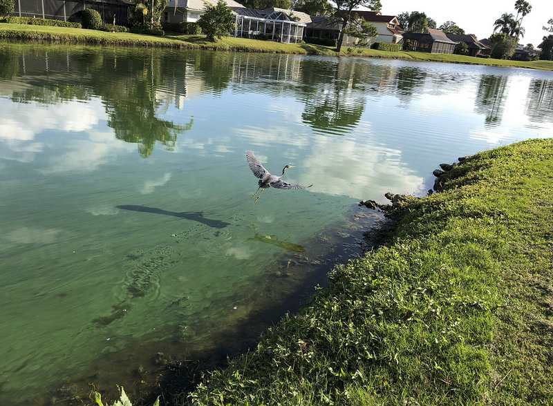 醫(yī)療污水水質(zhì)檢測儀