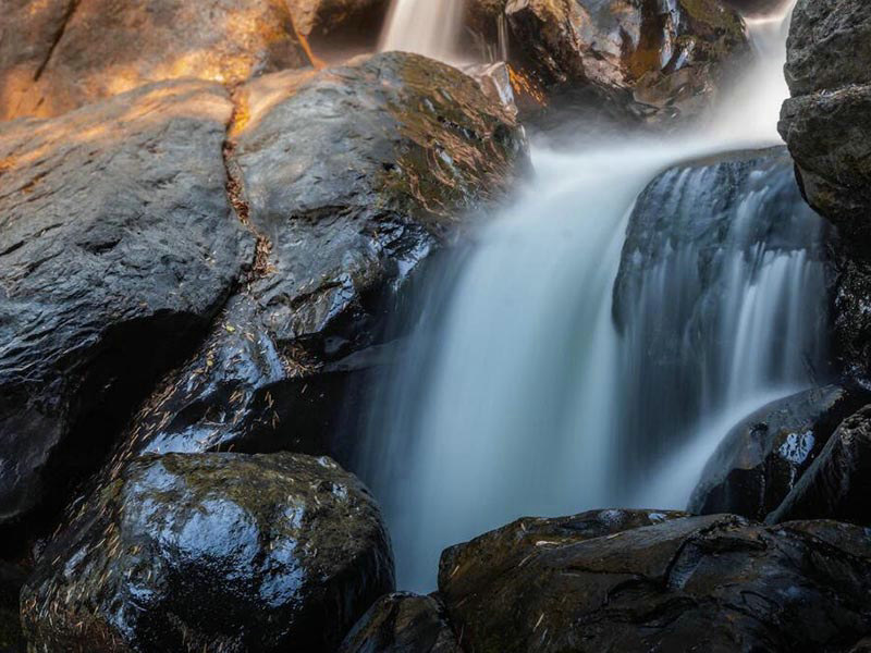 “硬”道理養(yǎng)好魚解碼水體硬度對水產(chǎn)養(yǎng)殖的四大隱形杠桿 總硬度pH水質(zhì)檢測.jpg