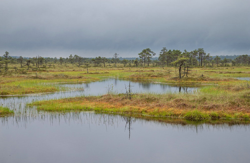 吐魯番COD水質(zhì)自動監(jiān)測儀