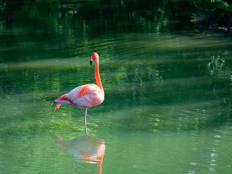 莆田紫外分光測(cè)油儀