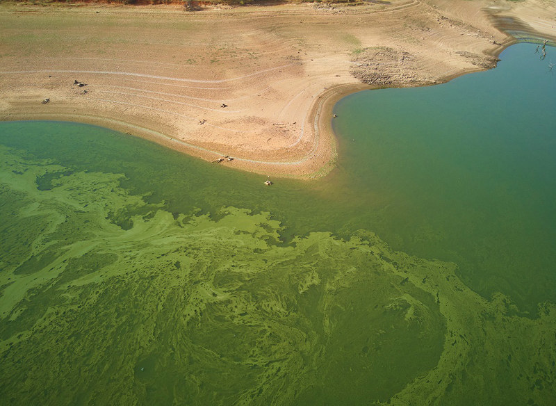 COD+氨氮“雙劍合璧”