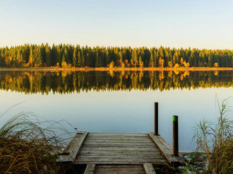 離子電極 10 min 速測(cè)水中氟化物