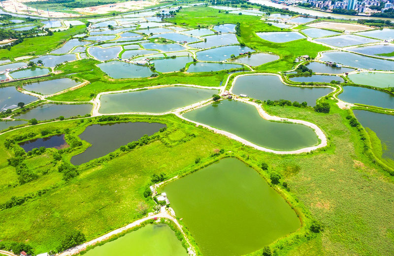 現(xiàn)代工業(yè)廢水濁度監(jiān)測(cè)