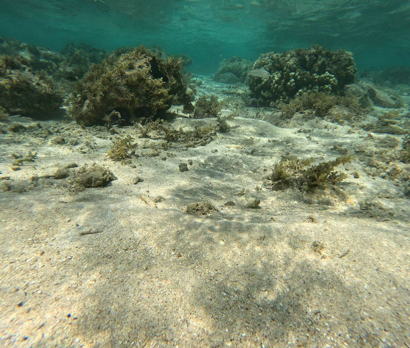 便攜式水產(chǎn)六參數(shù)測定