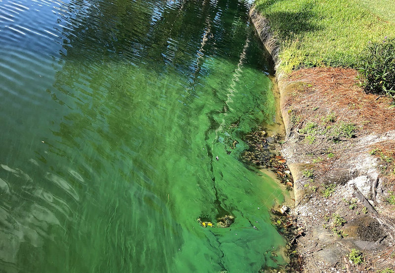 抗色度 15 min 速測與自動分流方案 色度COD檢測儀