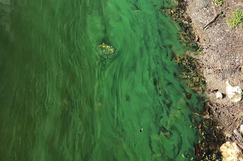 便攜式多參數(shù)監(jiān)測(cè)