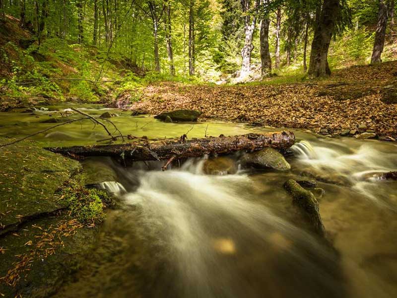 COD水質(zhì)檢測