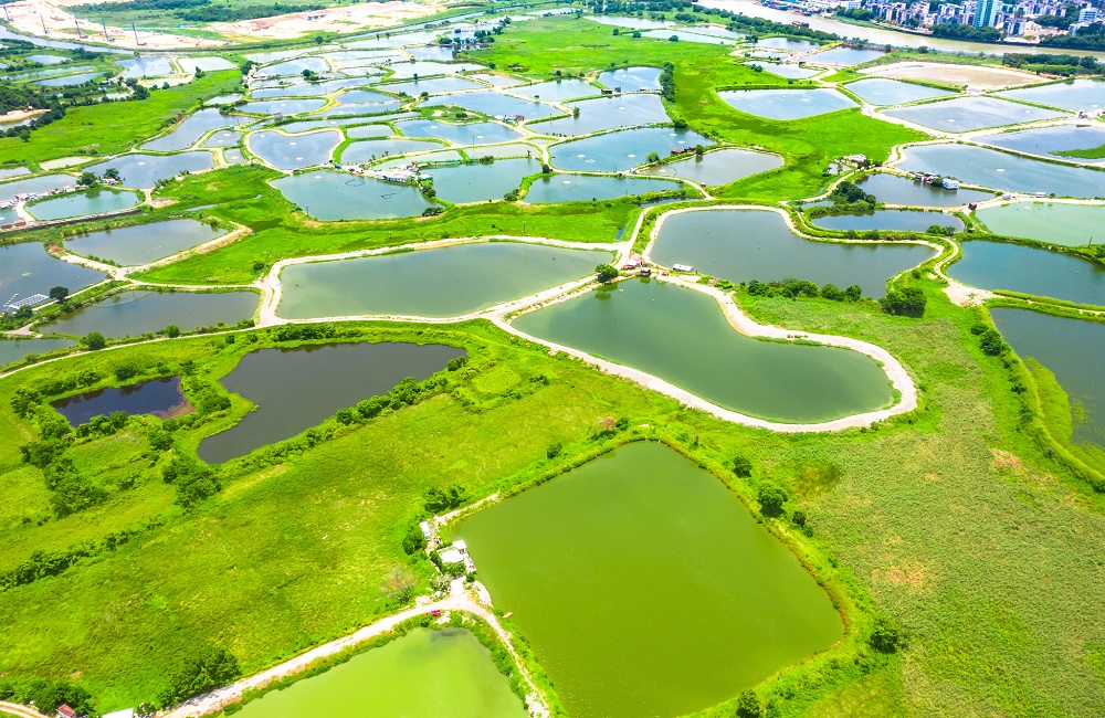 電鍍重金屬 “三角色” 15 min 速覽 守門員 在線分析測定.jpg