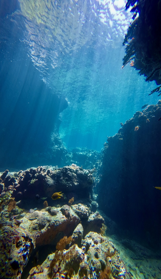 便攜式多參數(shù)總磷檢測
