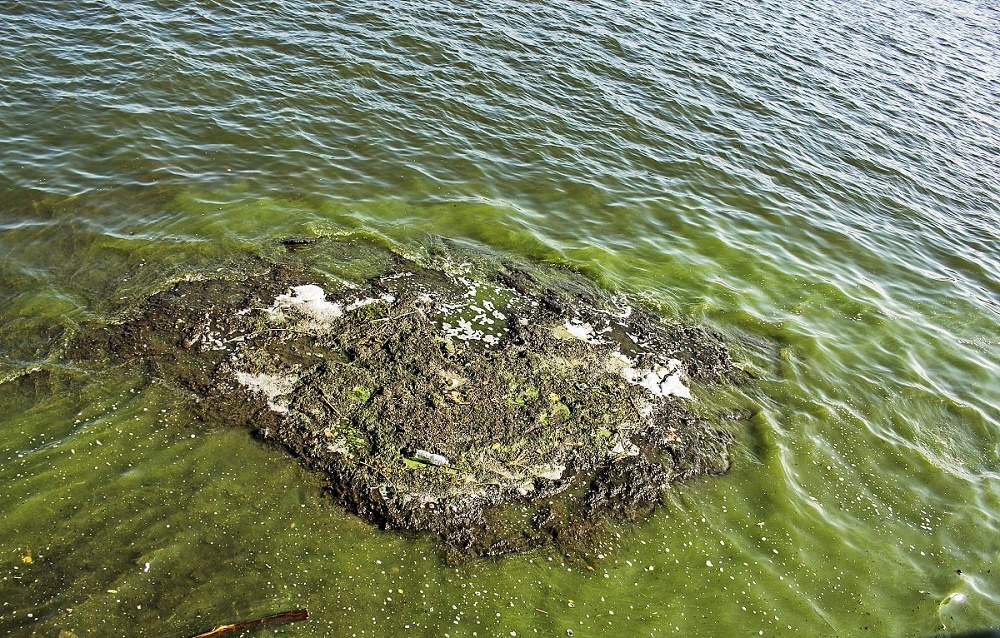 石河子一體化蒸餾儀